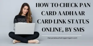 Pan Card Aadhaar Card Link Status
