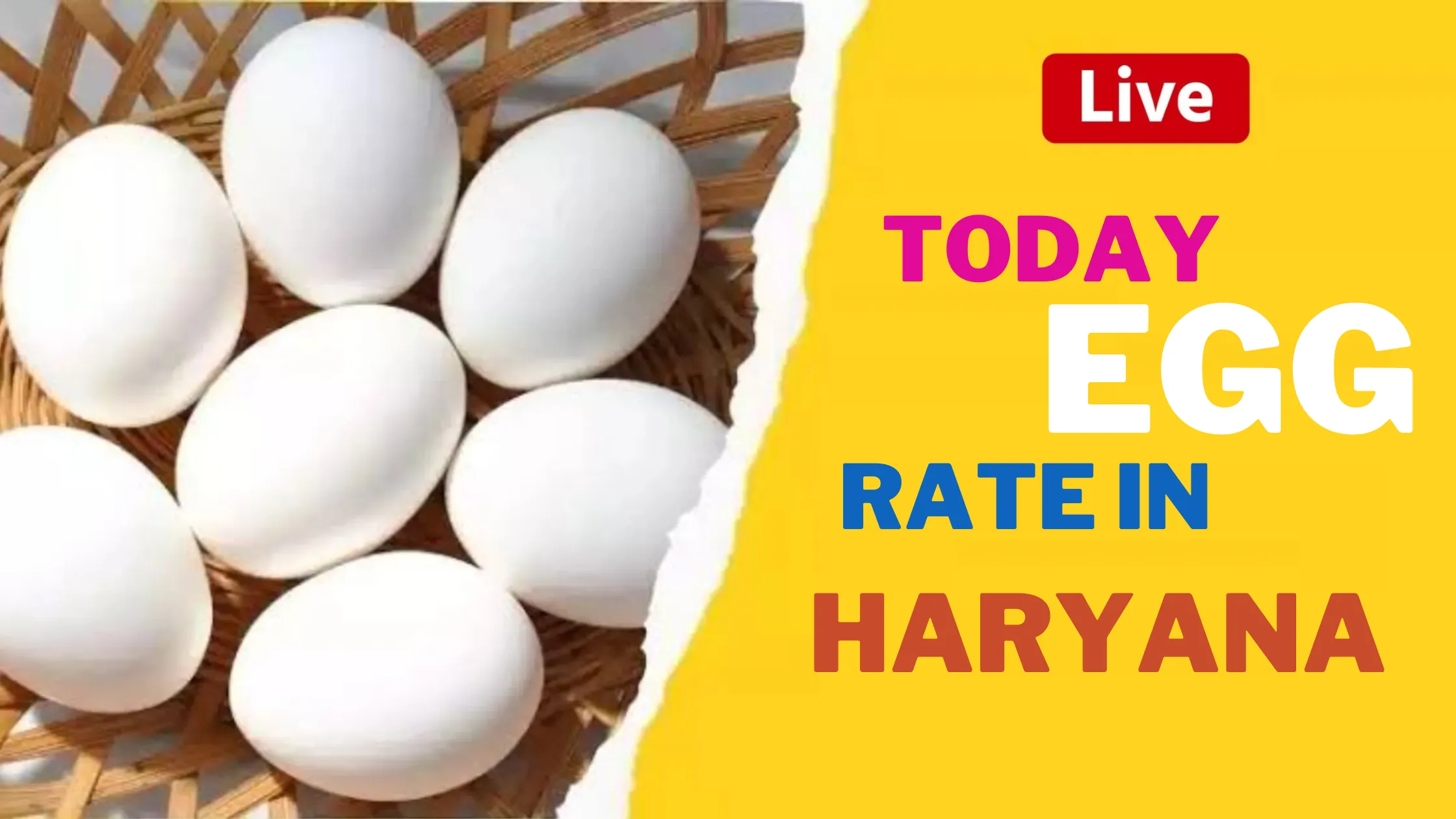 Today Egg Rate in Haryana Today Egg Rate in Haryana
