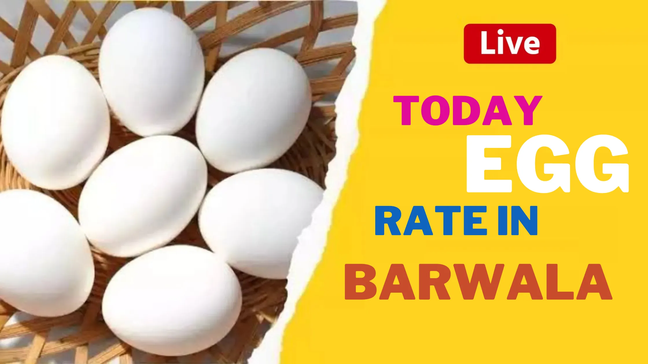 Barwala egg Rate Today | Barwala egg Rate Barwala egg Rate Today