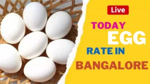 Today egg rate in Bangalore