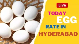 Today egg rate in Hyderabad