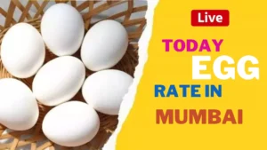 Today egg rate in Mumbai