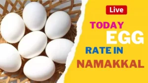 Today egg rate in Namakkal