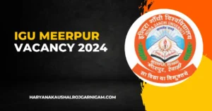 IGU Meerpur Vacancy 2024