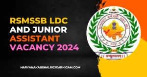 RSMSSB LDC and Junior Assistant Vacancy 2024