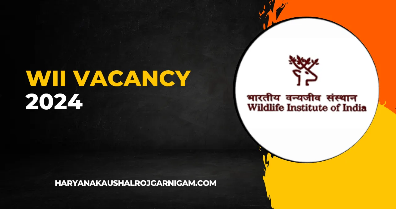 WII Vacancy 2024