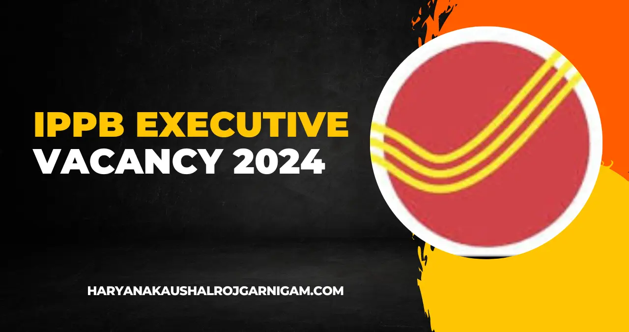 IPPB Executive Vacancy 2024